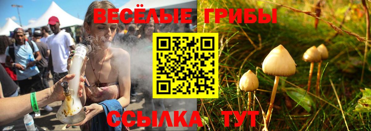 Галлюциногенные грибы мухоморы  Вход с VPN  Нефтекамск 